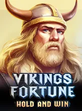 Vikings Fortune: Hold and Win